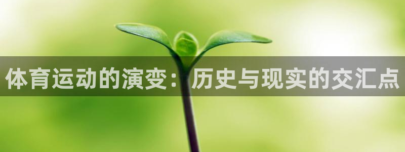 蓝图娱乐代理