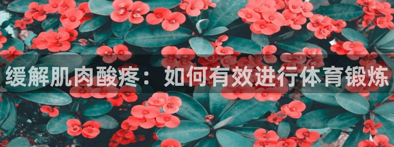 蓝图娱乐凯捷开号链接