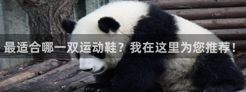 蓝图娱乐平台开户链接