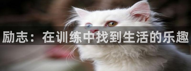 意昂3官网登录