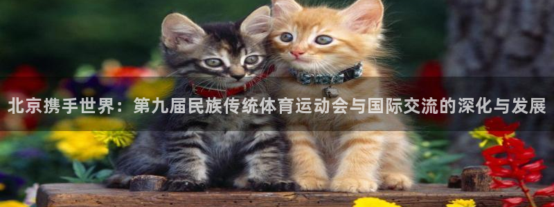 意昂平台主管