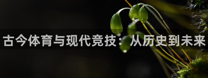 意昂集团股票