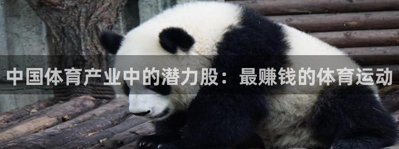 蓝图娱乐体育2